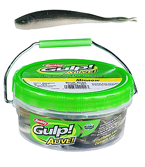 Berkley Gulp! Alive! Fish Fry Pink; 1 in.