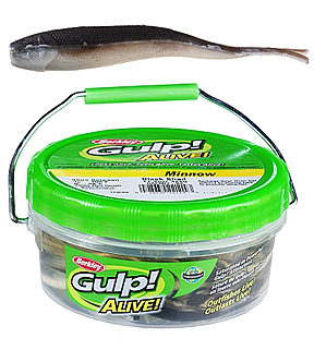 BERKLEY GULP ALIVE 2 1/2in MINNOW SMELT, Catfish Connection