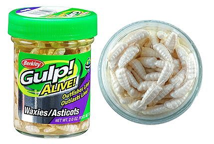 BERKLEY GULP ALIVE WAXIES WHITE, Catfish Connection