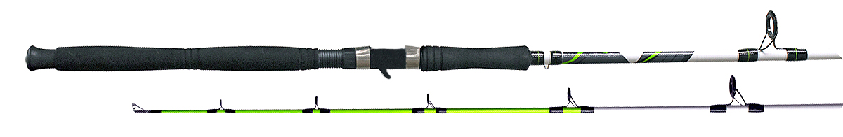 zebco big cat casting rod